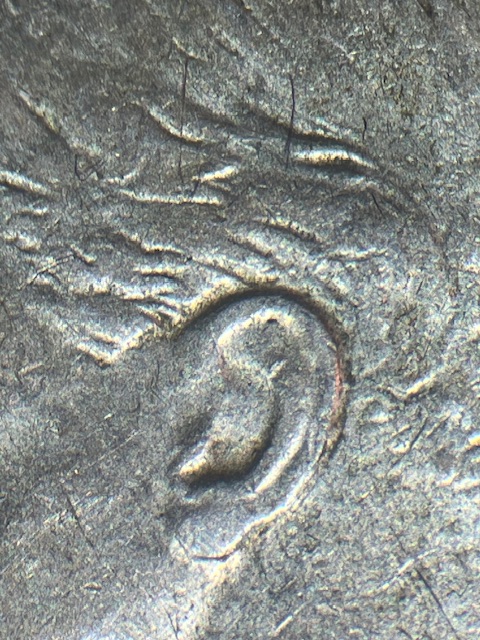 Roosevelt-Dimes-1946--The-Ear-May-Appear-Double-?